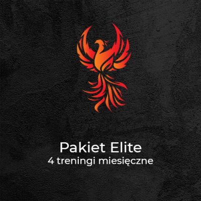 Pakiet Elite<br>4 treningi/miesiąc - Phoenix Workout - Kalistenika Gliwice