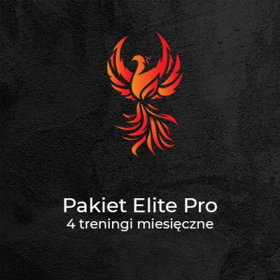Pakiet Elite Pro<br>4 treningi/miesiąc - Phoenix Workout - Kalistenika Gliwice