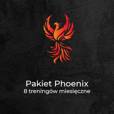 Pakiet Phoenix<br>8 treningów/miesiąc - Phoenix Workout - Kalistenika Gliwice