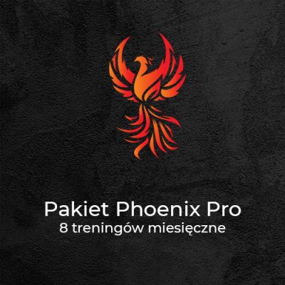 Pakiet Phoenix Pro<br>8 treningów/miesiąc - Phoenix Workout - Kalistenika Gliwice