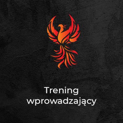 Trening Wprowadzający - Phoenix Workout - Kalistenika Gliwice